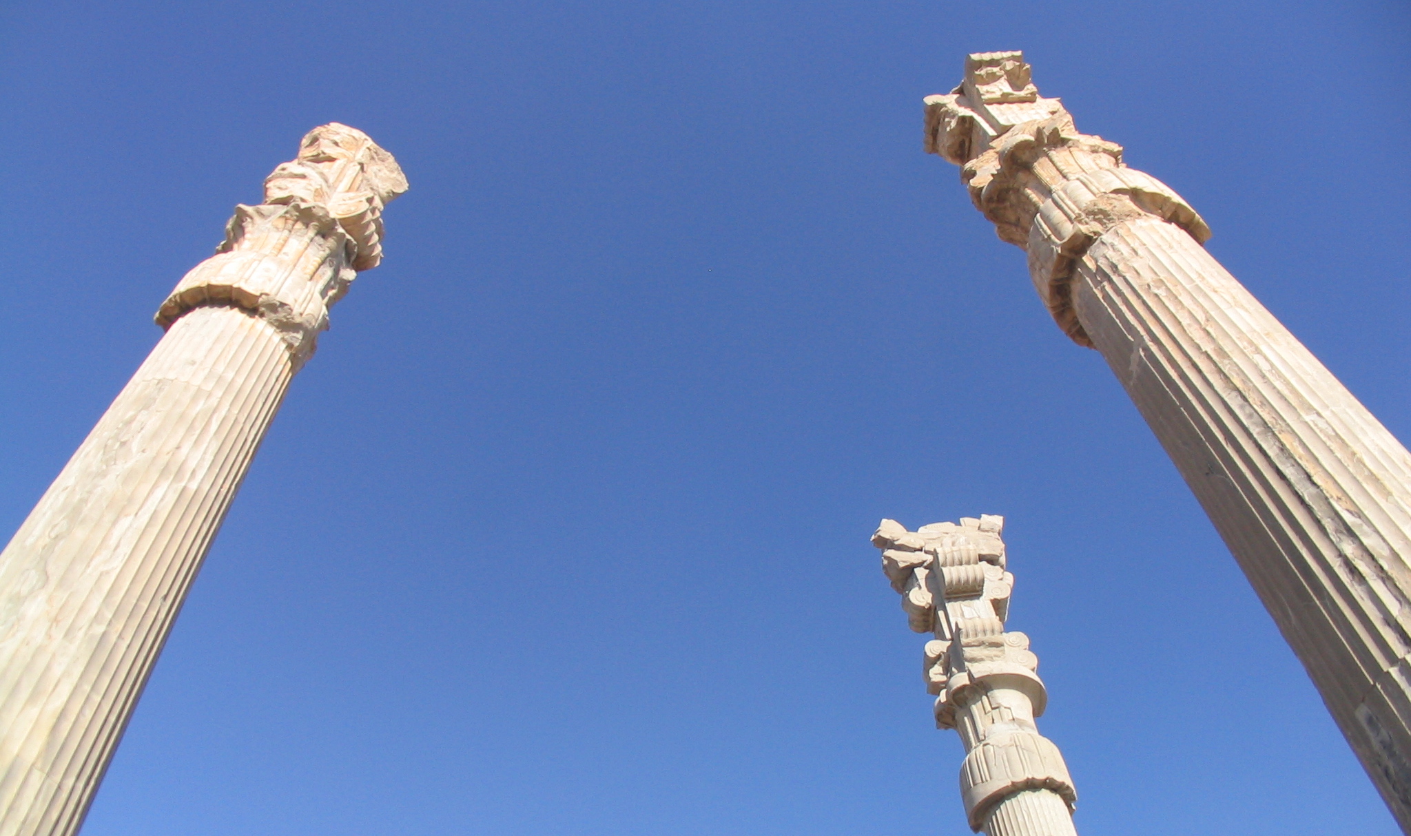 Columns at Persepolis